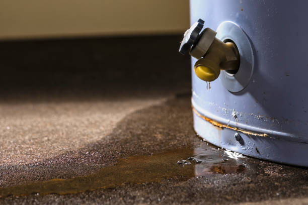 Carpet water damage restoration in Faxon, PA