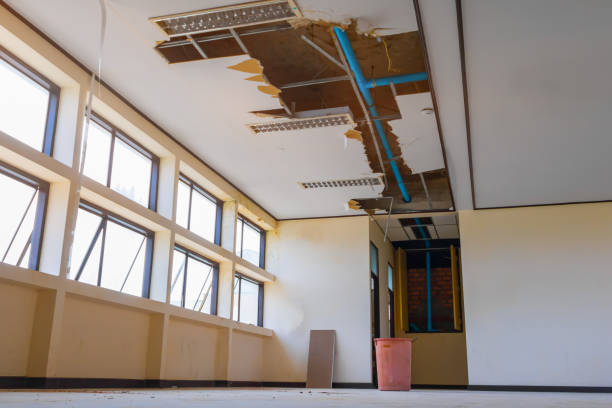 Best Mold removal after water damage  in Faxon, PA