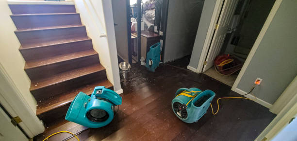 Best Flood damage cleanup  in Faxon, PA