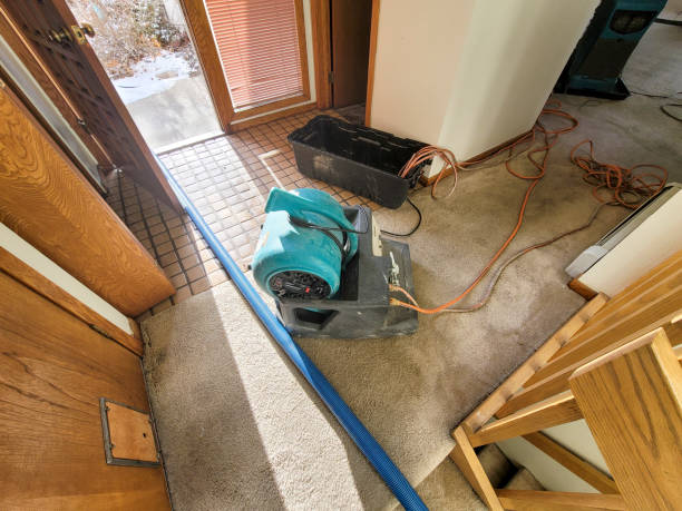 Best Flooded house restoration  in Faxon, PA