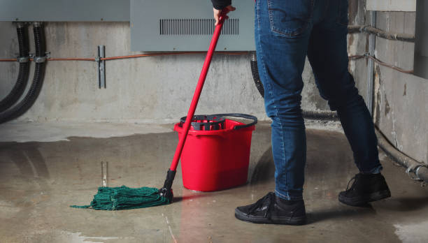  Faxon, PA Water damage restoration Pros