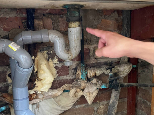 Best Water damage restoration near me  in Faxon, PA