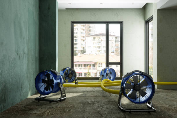 Best Mold removal after water damage  in Faxon, PA