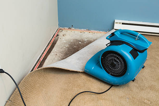 Best Local water damage restoration  in Faxon, PA